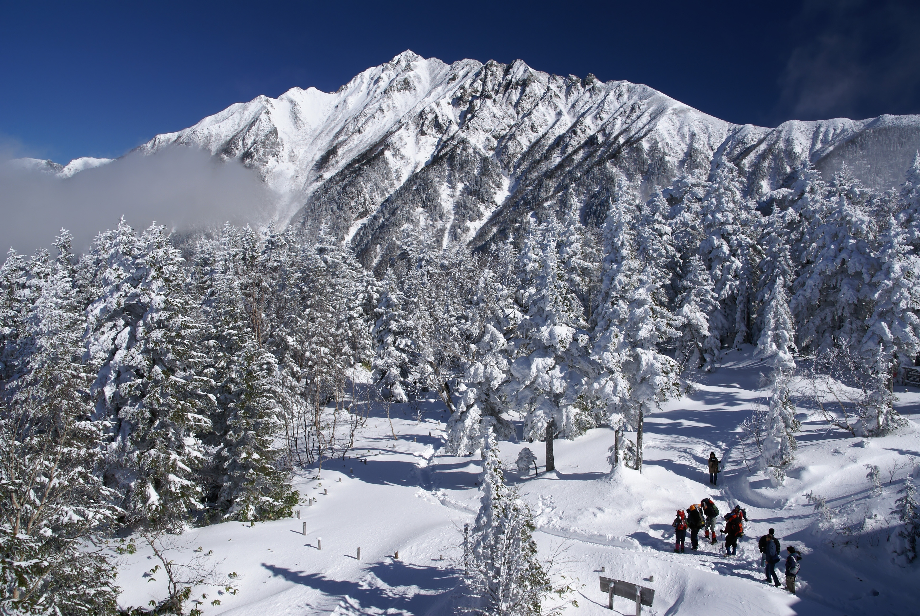 Japanese courses Gifu